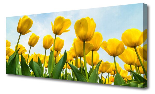 Obraz Canvas Tulipány kvety rastlina 125x50 cm