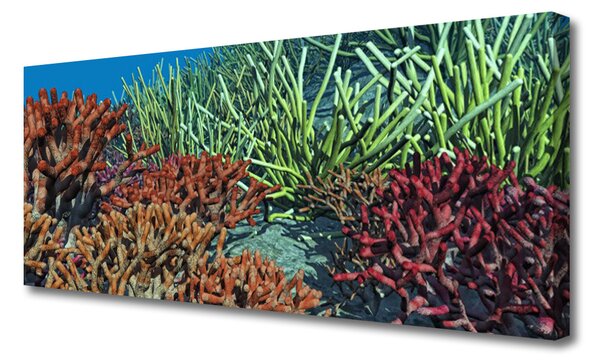 Obraz Canvas Koralový útes príroda 125x50 cm