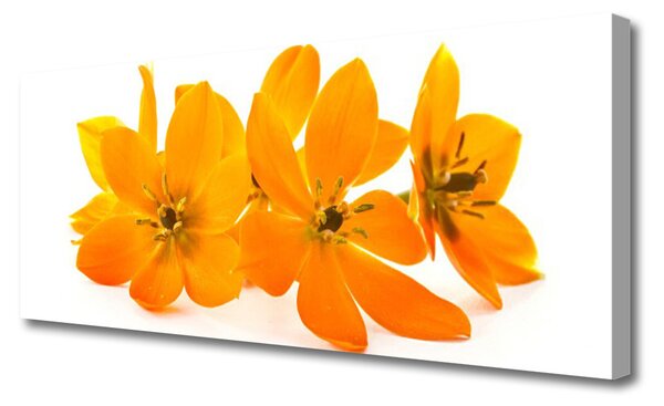 Obraz na plátne Oranžové kvety 125x50 cm