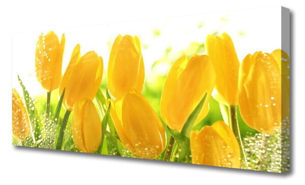 Obraz Canvas Tulipány kvety rastlina 125x50 cm