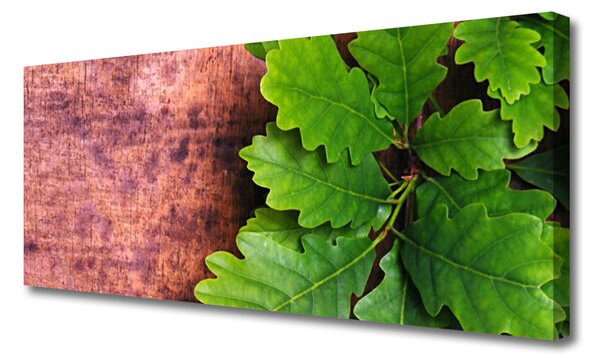 Obraz na plátne Listy dub 125x50 cm