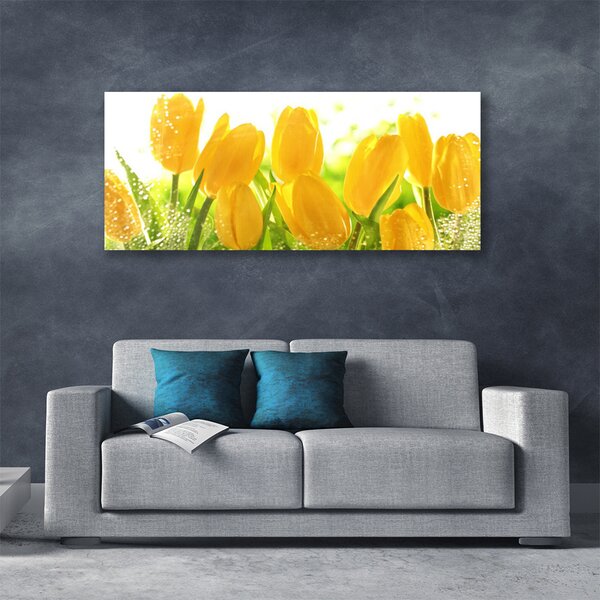 Obraz Canvas Tulipány kvety rastlina 125x50 cm