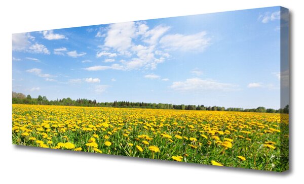 Obraz na plátne Púpava príroda 125x50 cm