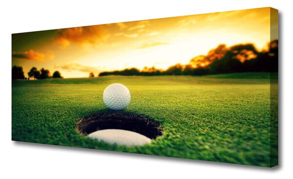 Obraz na plátne Golfový loptička tráva príroda 125x50 cm