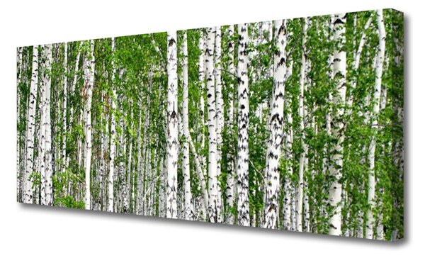 Obraz na plátne Breza les stromy príroda 125x50 cm