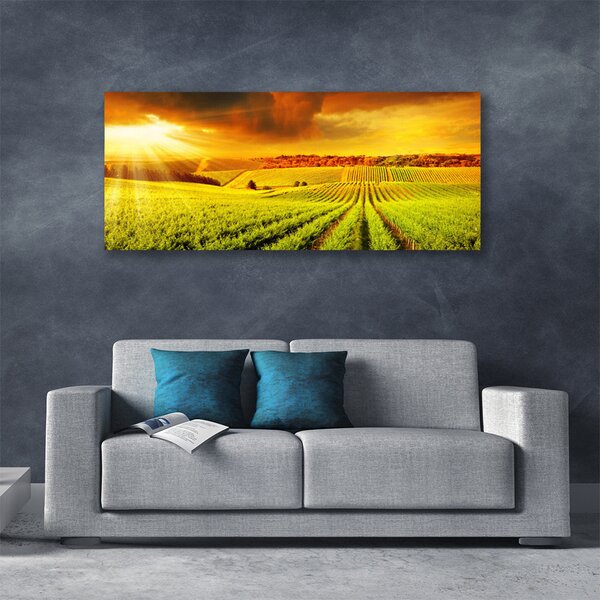 Obraz na plátne Pole západ slnka krajina 125x50 cm