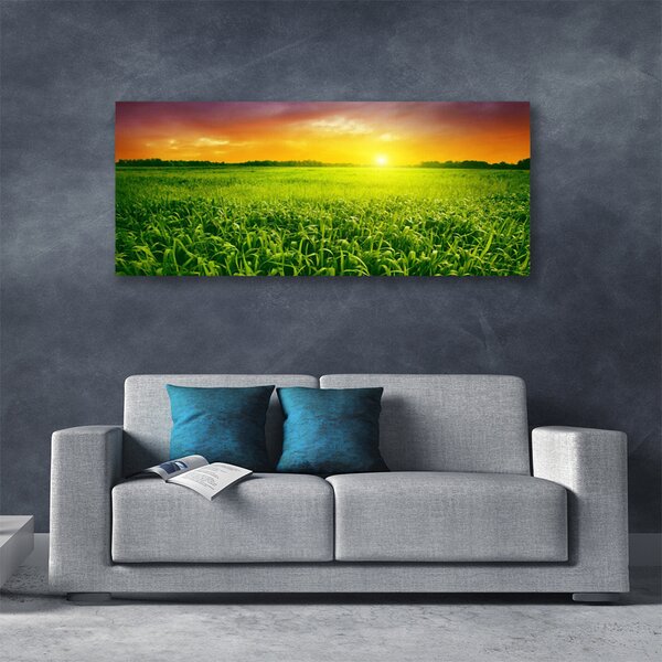 Obraz na plátne Obilie pole východ slnka 125x50 cm