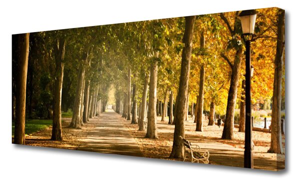 Obraz na plátne Park alej príroda 125x50 cm