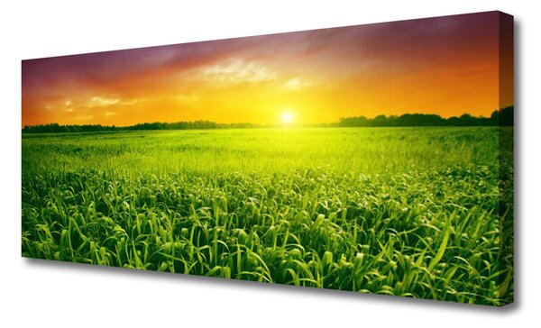 Obraz na plátne Obilie pole východ slnka 125x50 cm