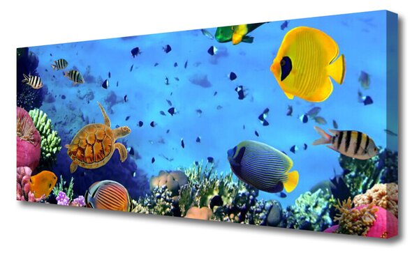 Obraz na plátne Koralový útes ryba príroda 125x50 cm