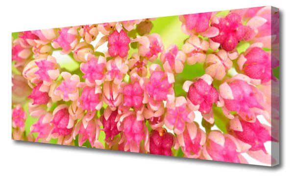 Obraz na plátne Kvet lotosu 125x50 cm