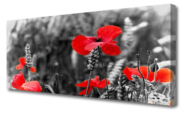 Obraz na plátne Maky 125x50 cm