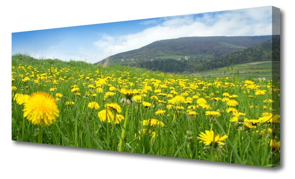 Obraz na plátne Púpava príroda 125x50 cm