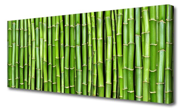 Obraz na plátne Bambus kvet rastlina 125x50 cm