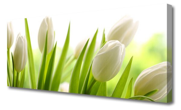 Obraz na plátne Tulipány kvety 125x50 cm
