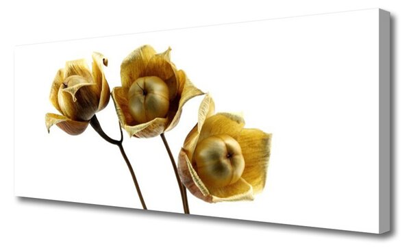 Obraz na plátne Kvety rastlina 125x50 cm