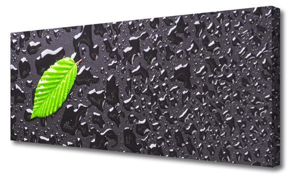 Obraz na plátne List kvapky umenie 125x50 cm