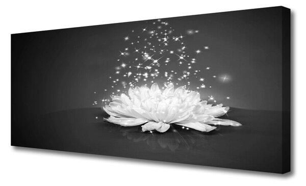 Obraz na plátne Kvet rastlina príroda 125x50 cm