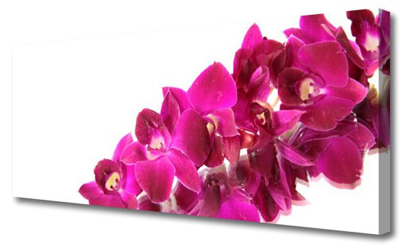 Obraz na plátne Kvety rastlina príroda 125x50 cm