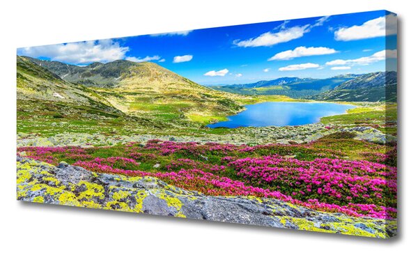 Obraz na plátne Hora záliv lúka príroda 125x50 cm