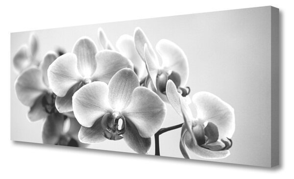 Obraz na plátne Kvety rastlina príroda 125x50 cm