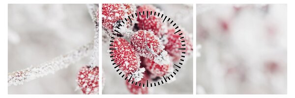 Obraz - Zamrznuté plody (s hodinami) (90x30 cm)