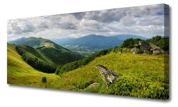 Obraz na plátne Hora lúka krajina 125x50 cm