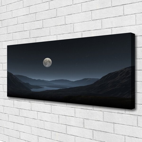 Obraz na plátne Noc mesiac príroda 125x50 cm