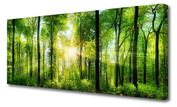 Obraz na plátne Les príroda 125x50 cm
