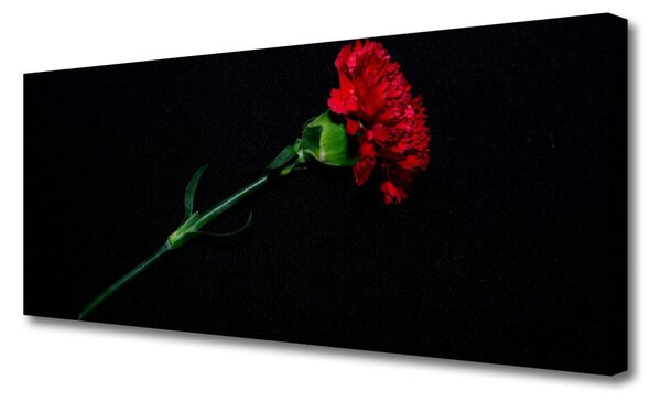 Obraz na plátne Kvet rastlina príroda 125x50 cm