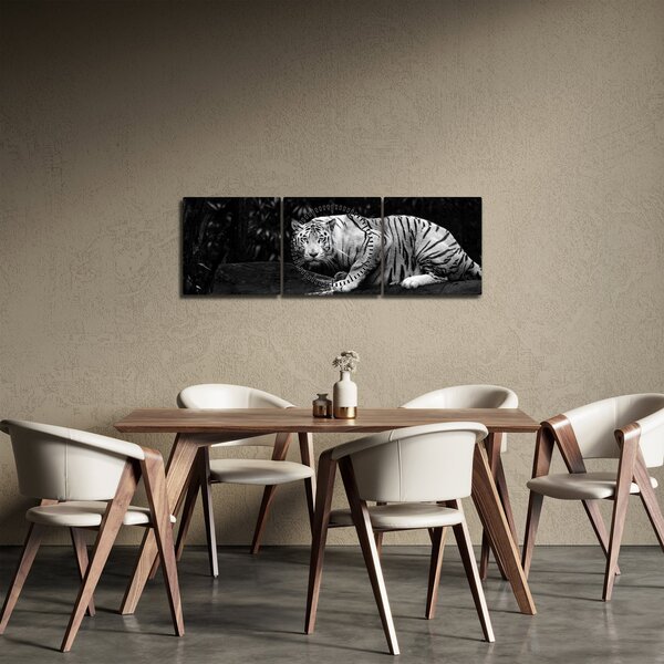Obraz - Tiger albín, čiernobiely (s hodinami) (90x30 cm)