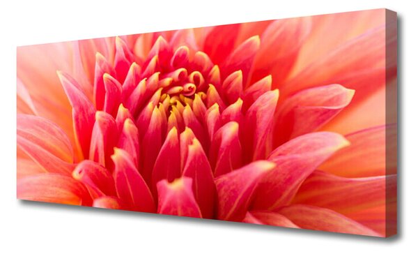 Obraz Canvas Kvet rastlina príroda 125x50 cm