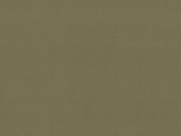 MUZZA Dvojlôžková posteľ Eneli Bez úložného priestoru 140 x 200 cm Vegánska koža Zelená