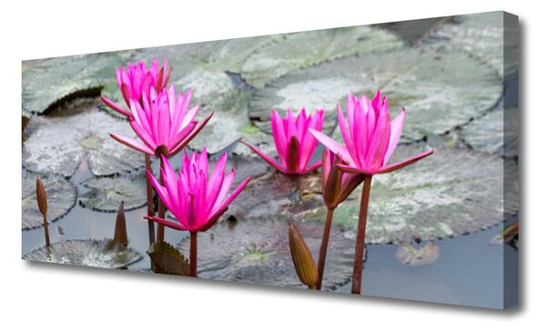 Obraz Canvas Kvety rastlina príroda 125x50 cm