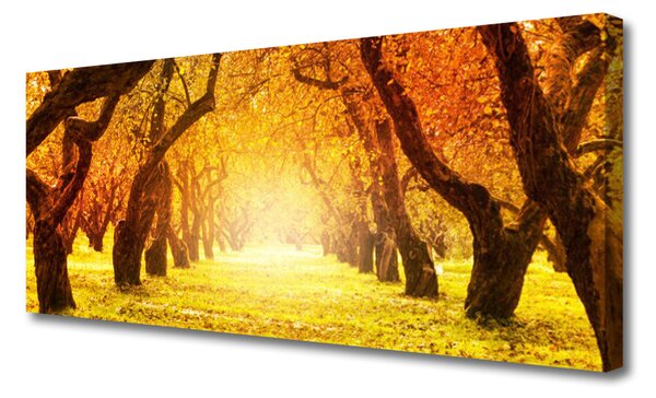 Obraz Canvas Les chodník stromy príroda 125x50 cm