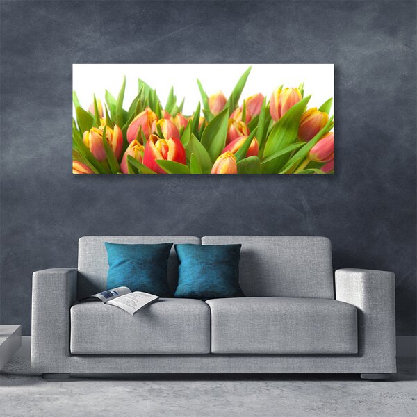 Obraz Canvas Tulipány kvety rastlina 125x50 cm