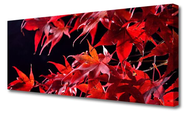 Obraz Canvas Listy príroda rastlina 125x50 cm