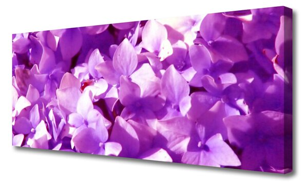Obraz Canvas Kvety rastlina príroda 125x50 cm