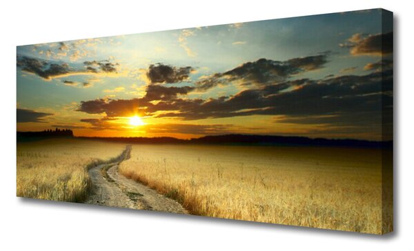Obraz Canvas Cestička pole príroda 125x50 cm