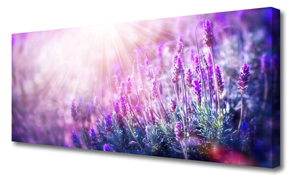 Obraz Canvas Kvety rastlina príroda 125x50 cm