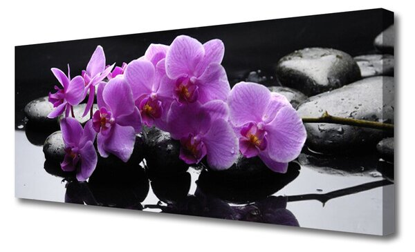 Obraz Canvas Kvet kamene rastlina 125x50 cm