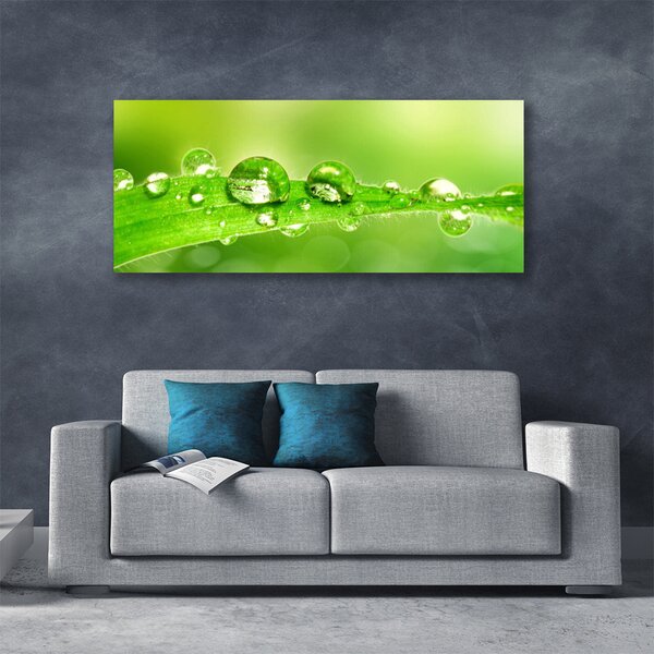 Obraz Canvas List kvapky rosa rastlina 125x50 cm