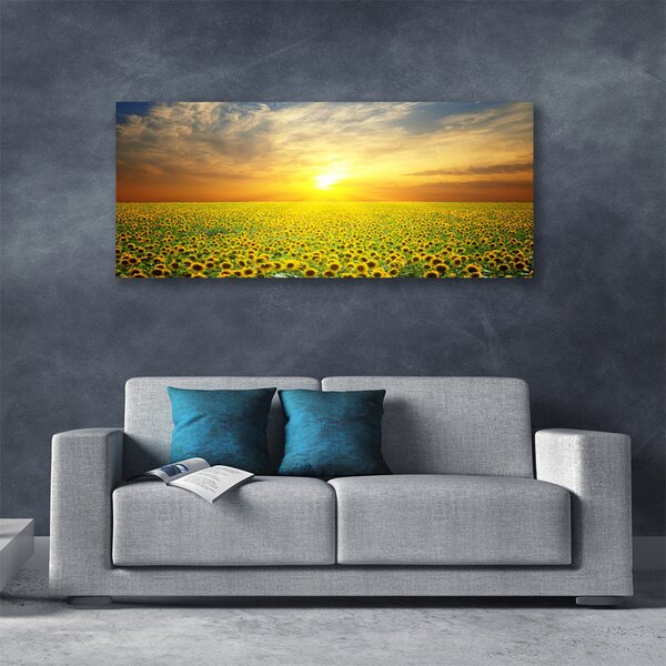 Obraz Canvas Slnko lúka slnečnica 125x50 cm