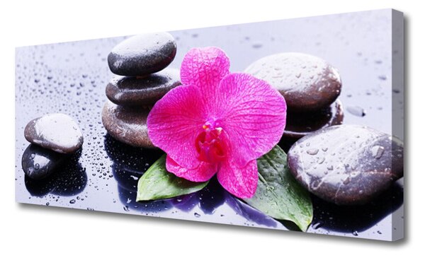 Obraz Canvas Kvet kamene umenie 125x50 cm