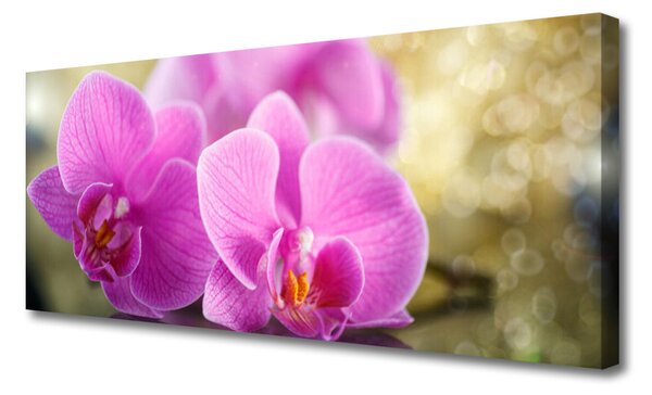 Obraz Canvas Kvety rastlina príroda 125x50 cm