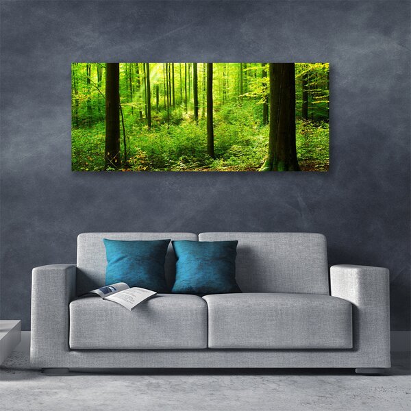 Obraz Canvas Les zeleň stromy príroda 125x50 cm