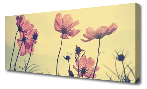 Obraz Canvas Kvety rastlina príroda 125x50 cm