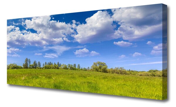 Obraz Canvas Lúka tráva nebo krajina 125x50 cm
