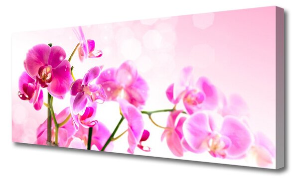 Obraz Canvas Kvety rastlina príroda 125x50 cm