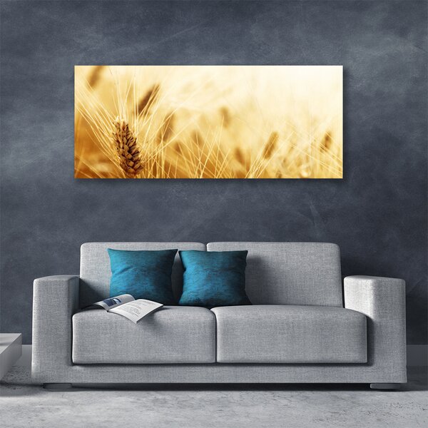 Obraz Canvas Pšenica rastlina príroda 125x50 cm
